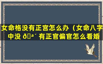 女命格没有正宫怎么办（女命八字中没 🪴 有正官偏官怎么看婚 🐎 姻）